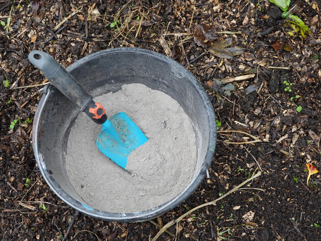 Разбросайте это под деревьями в саду – и летом соберете щедрый урожай яблок и груш