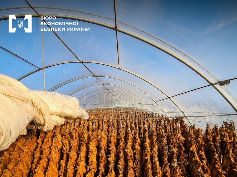 2025 року БЕБ вилучило на 60% більше нелегальних тютюнових виробів – Цивінський