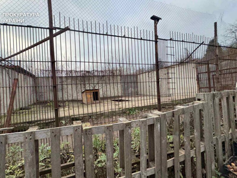 Суд у Хмельницькому виніс вирок власнику звіринця, звідки втекли левиці і вбили 14 інших тварин