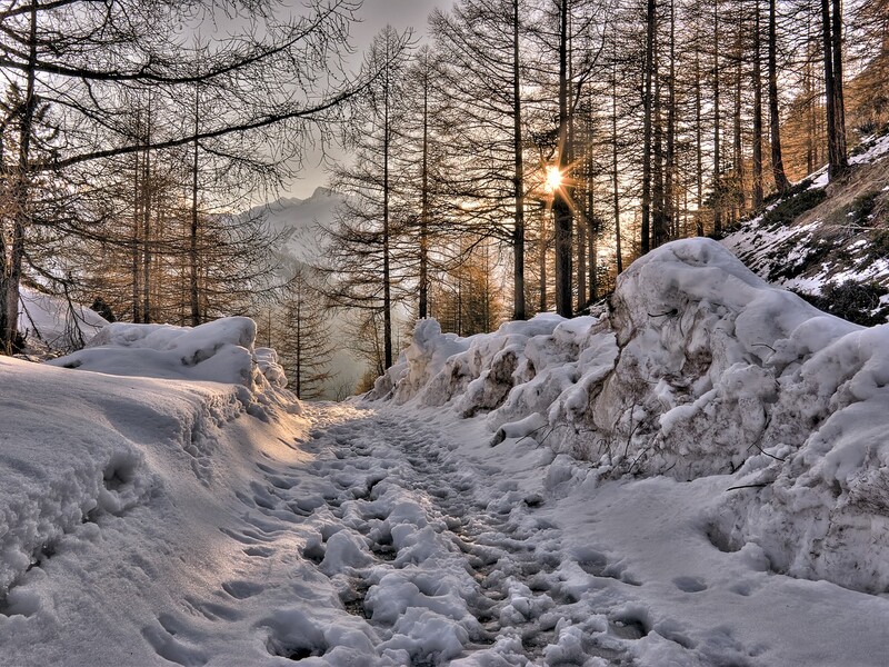 Весна із зимою зустрічається. Чи чекати на ранню весну? Народні прикмети на Стрітення