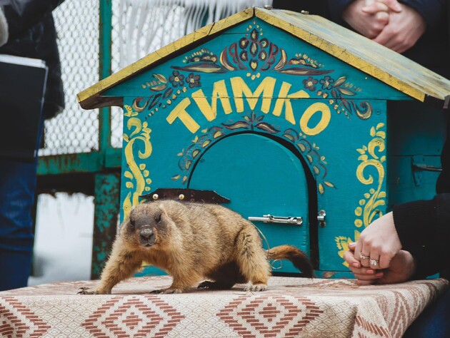 Харківський бабак Тимко спрогнозував, коли прийде весна