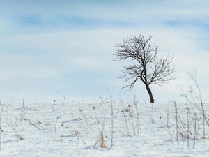 Как не замерзнуть зимой в поле. 