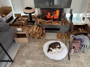 Посыпьте этим отсыревшие дрова – и они будут гореть. Секрет, как без танцев с бубном быстро растопить камин