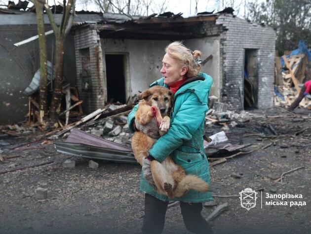 В Запорожье оккупанты разбомбили собачий приют. Фото, видео