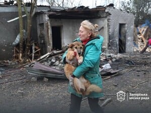 В Запорожье оккупанты разбомбили собачий приют. Фото, видео
