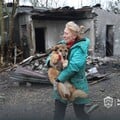 В Запорожье оккупанты разбомбили собачий приют. Фото, видео