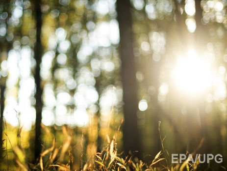 В Украине ожидается резкое похолодание с 9 марта – синоптики 