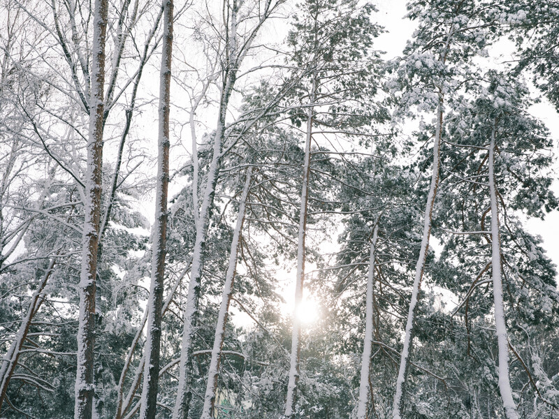 "Капосний морозяка". Синоптикиня спрогнозувала температуру в Україні до -22 °C