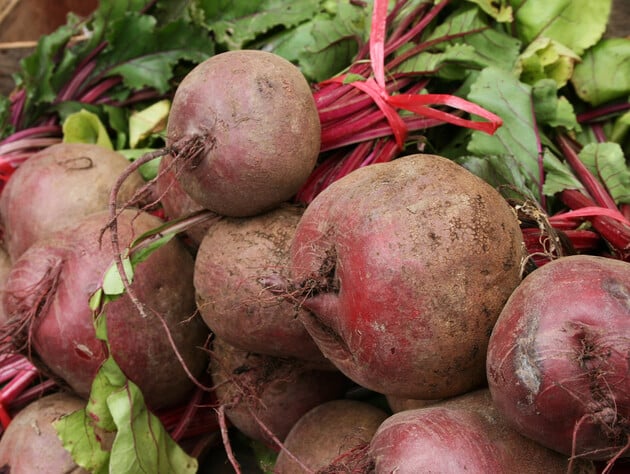 Оберіть цей буряк для нової посадки. Три найкращі сорти