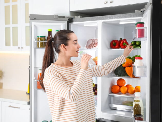 Эти простые советы помогут избежать поломки холодильника во время отключений света