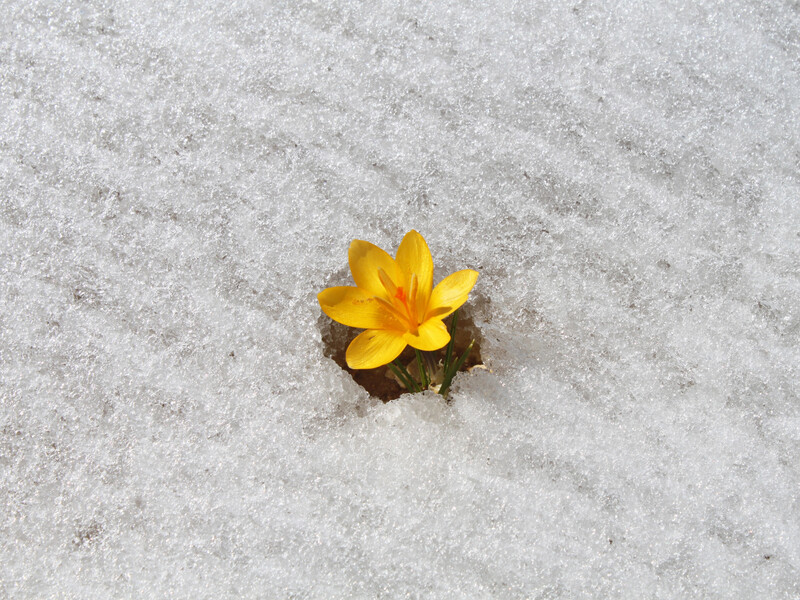 "Найхолодніша ніч – позаду, ми пройшли". Синоптикиня розповіла, де в Україні потепліє швидше