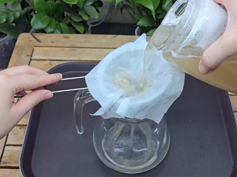 Протирайте листья орхидеи этим настоем два раза в неделю – и у нее появятся новые цветоносы. Рецепт