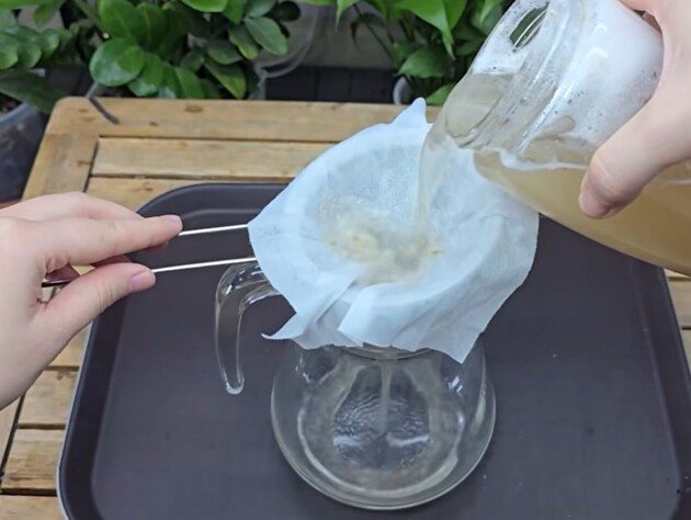 Протирайте листья орхидеи этим настоем два раза в неделю – и у нее появятся новые цветоносы. Рецепт