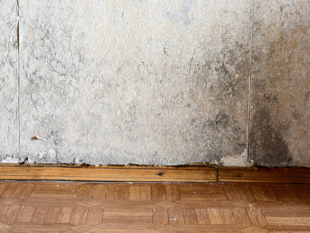 Прикріпіть це до шафи - і стіна за нею ніколи не почорніє від плісняви