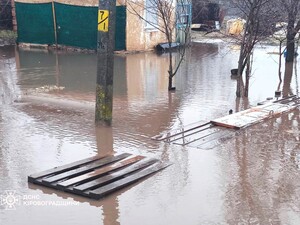 В Україні масові підтоплення, у Кіровоградській області річка вийшла з берегів, сотні тварин заблоковані. Фото