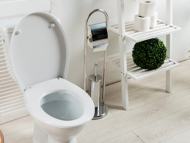 Положите это в грязный унитаз – и через 30 минут он засияет белизной. Лайфхак без агрессивной химии