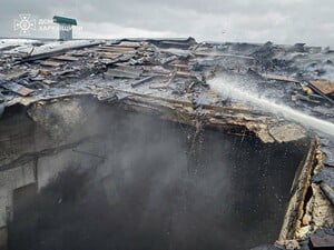 Росіяни атакували ферму під Харковом, майже сотня свиней загинула. Фото