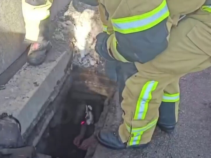 "Дуже змерзли і просили допомоги". У Києві врятували дітей із каналізації. Відео