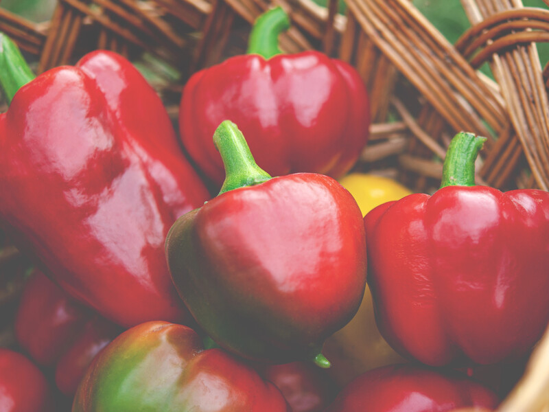 Король овощной икры под названием 