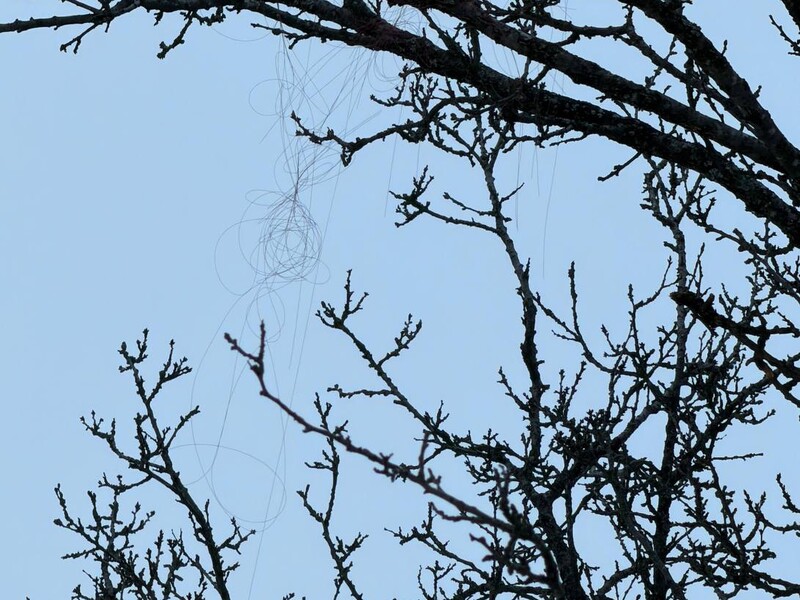 "Перший зафіксований випадок від початку війни". Дрони РФ на оптоволокні долетіли до Харкова