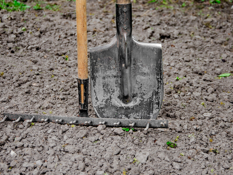 Опытные огородники в марте разбрасывают это на своем участке. Раскрыт простой секрет плодородной почвы