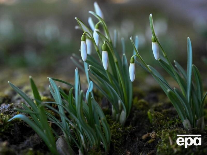 Без опадів, але з мінусом. Якою буде погода в перший понеділок березня в Україні