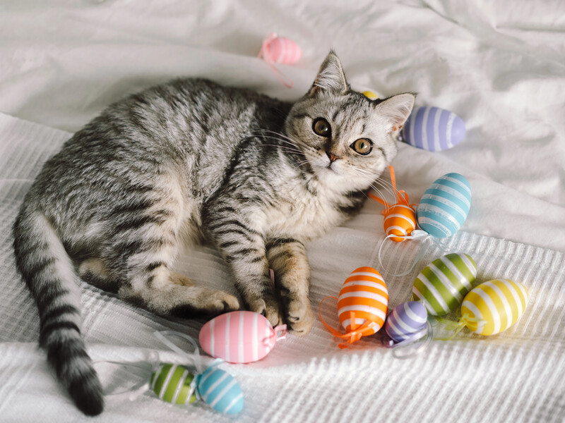 Зачем перед Пасхой нужен Великий пост и почему он длится 48 дней