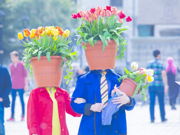 Что отправить маме, жене и коллеге на 8 марта. Подборка небанальных поздравлений в видео и картинках