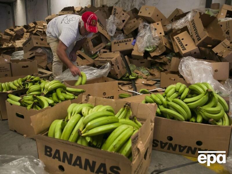 У Нідерландах серед бананів виявили 400 кг кокаїну. Фото