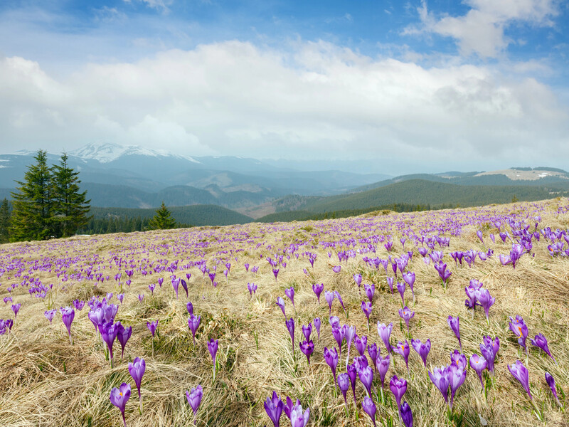 Перша подорож до Карпат: поради мандрівникам-новачкам