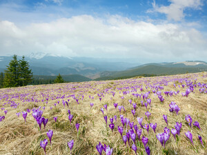 Перша подорож до Карпат: поради мандрівникам-новачкам