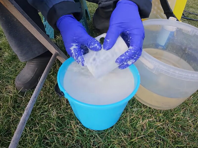 В марте распылите это в саду – и тля погибнет, даже не очнувшись после зимней спячки