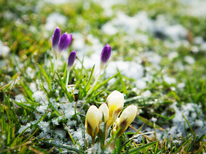 Період сонячної й сухої погоди поступово завершується. Де в Україні прогнозують дощ і мокрий сніг