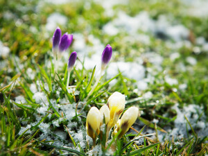 Период солнечной и сухой погоды постепенно заканчивается. Где в Украине прогнозируют дождь и мокрый снег
