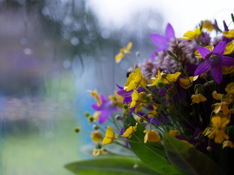 Від сонця – до мокрого снігу. Як змінюватиметься погода у вихідні