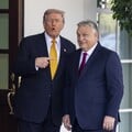 Трамп поддержал Орбана, который пытается выиграть выборы на антиукраинской риторике