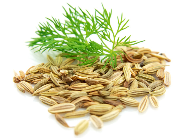 Замочіть перед садінням насіння кропу в цбому продукті – й воно швидко зійде