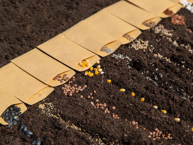 Посевной календарь на апрель. Что садить уже сейчас и когда ждать урожай – советы опытного фермера