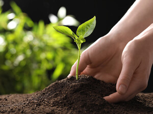 Названы лучшие даты для посева огородных культур. Посевной календарь на апрель