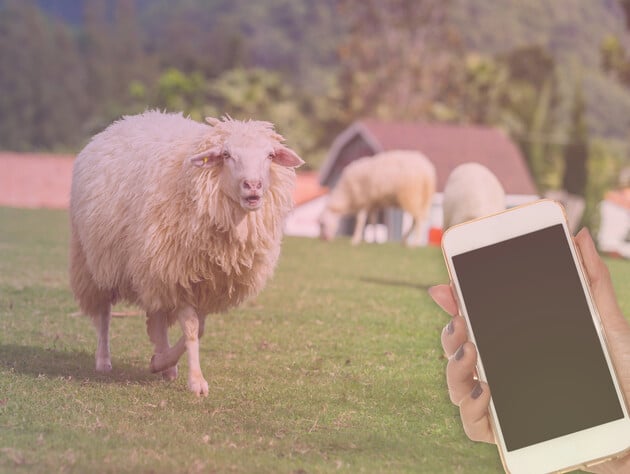 Лучшие первоапрельские шутки, на которые многие купились в 2026 году