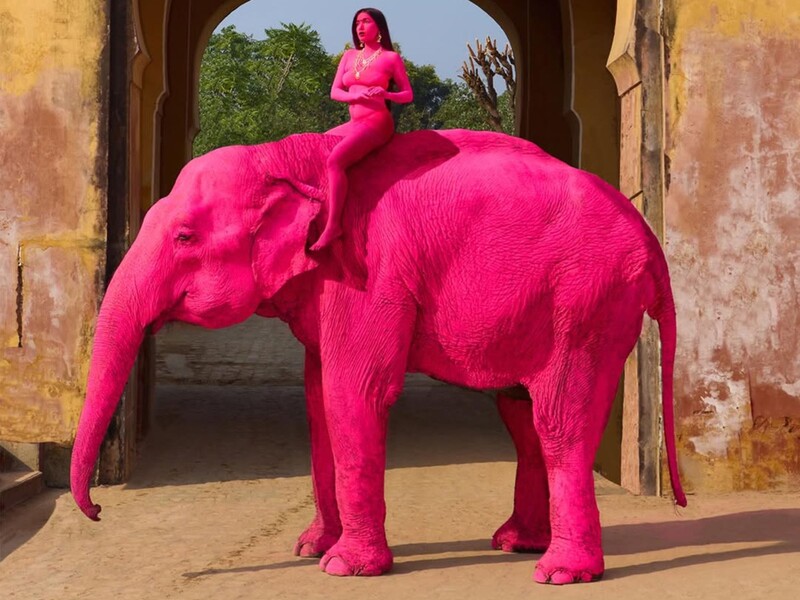 Ради прихоти россиянки в Индии покрасили 65-летнюю слониху. Животное скончалось