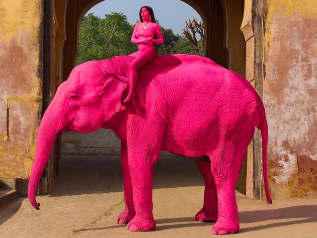 Ради прихоти россиянки в Индии покрасили 65-летнюю слониху. Животное скончалось