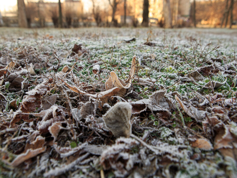 В Україну йде різке похолодання, можливі заморозки