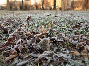 В Україну йде різке похолодання, можливі заморозки