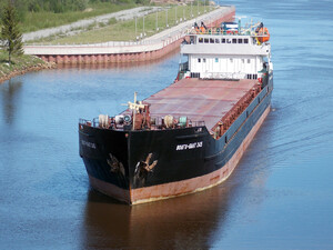 В Азовском море затонул сухогруз оккупантов. Пропаганда жалуется на дроны