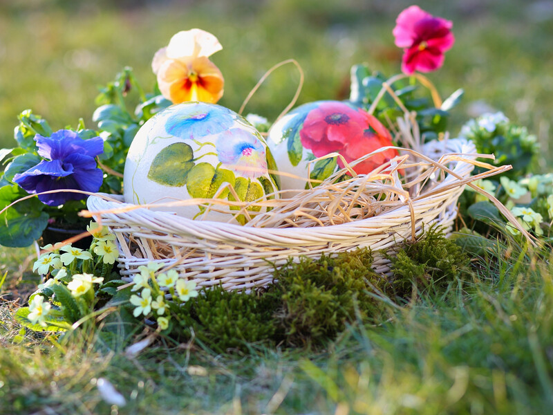 У Німеччині під час пошуку великодніх яєць на людей упало дерево, серед загиблих – немовля й підліток