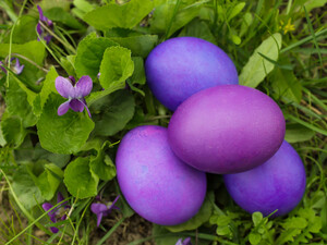 Невероятные нежно-сиреневые крашенки. Покрасьте яйца без химии