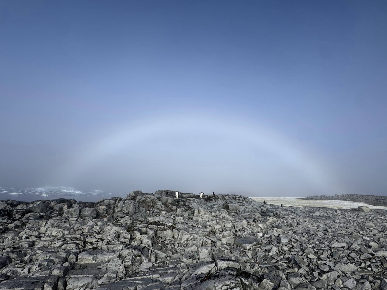 Украинские полярники показали белую радугу и объяснили, почему она возникает. Фото