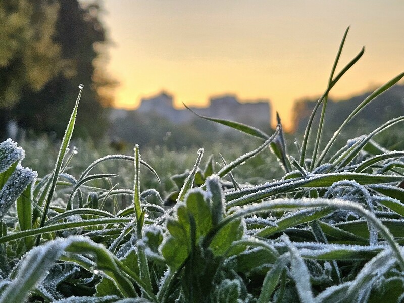 "Очікується холодяка". Діденко попередила про заморозки й дала прогноз погоди на Великдень