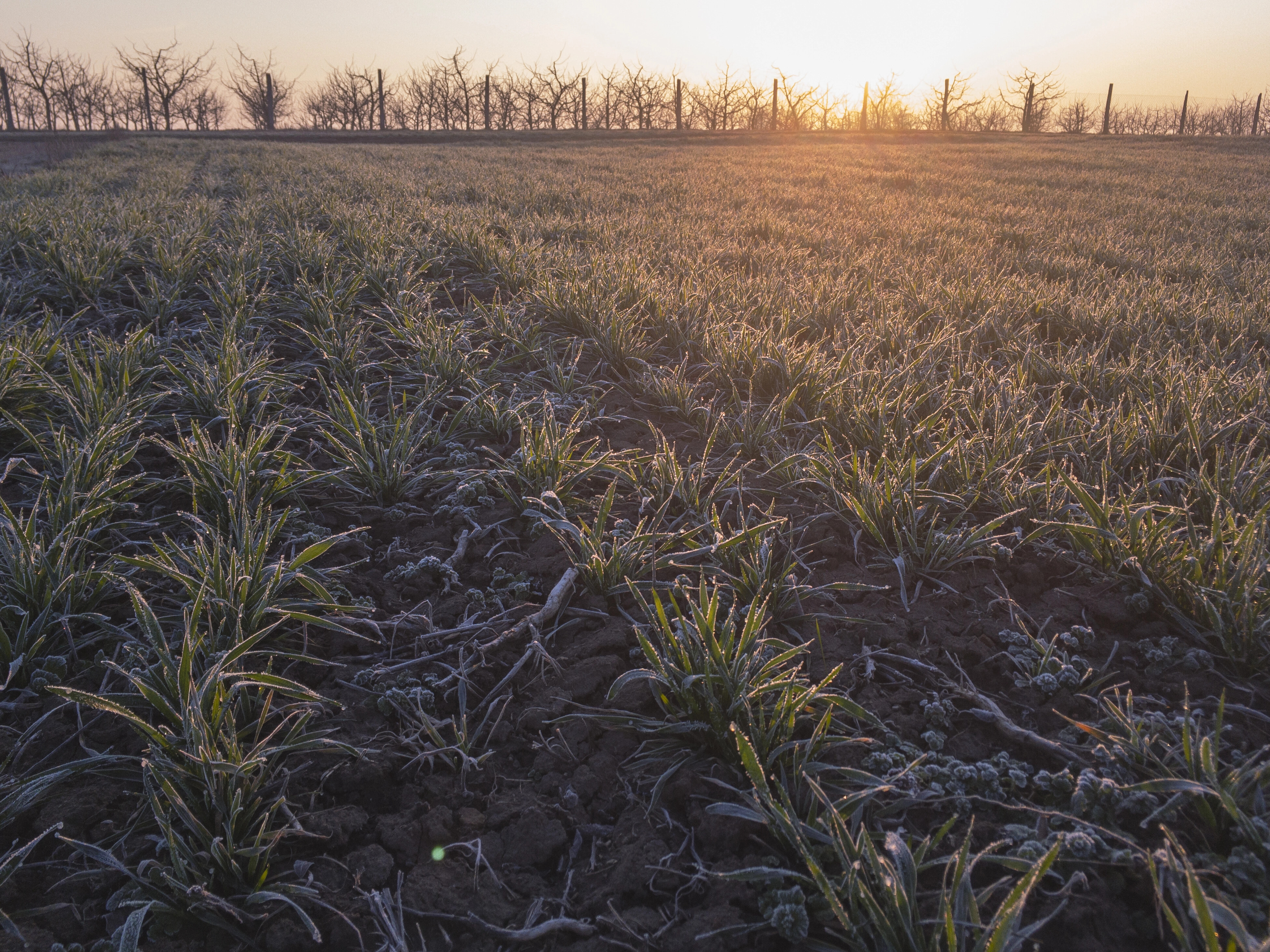 Синоптикиня розповіла, якою буде погода в Україні після Великодня